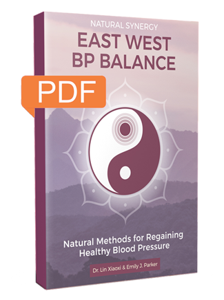 BP Steadiness e book