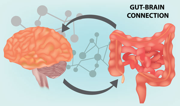Gut Brain Connection