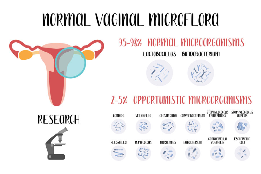 vaginal microflora